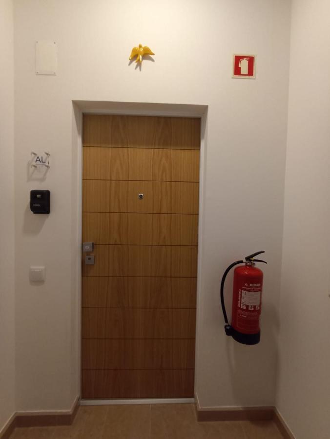 Family Apartament II Coimbra Kültér fotó